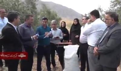 بازدید میدانی رییس موسسه تحقیقات علوم باغبانی كشور از باغ زیتون به شهرستان كوار